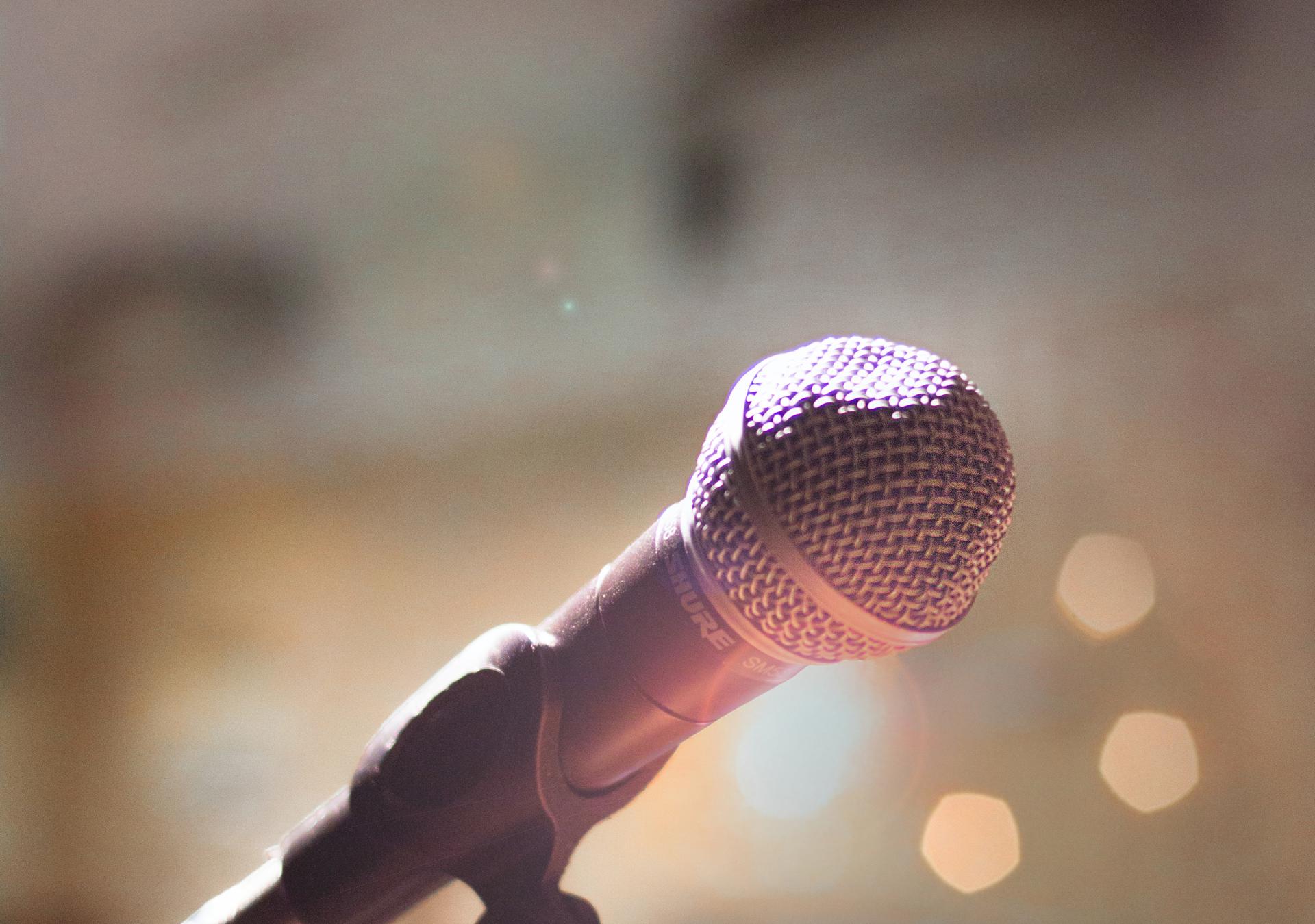 Nærbillede af en mikrofon, set fra talers side