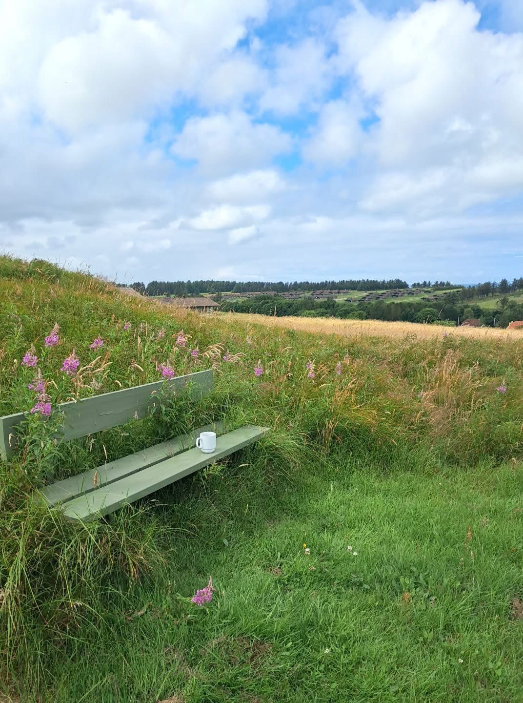 Grønmalet bænk næsten gemt i græs og blomster. Sommerhimmel.