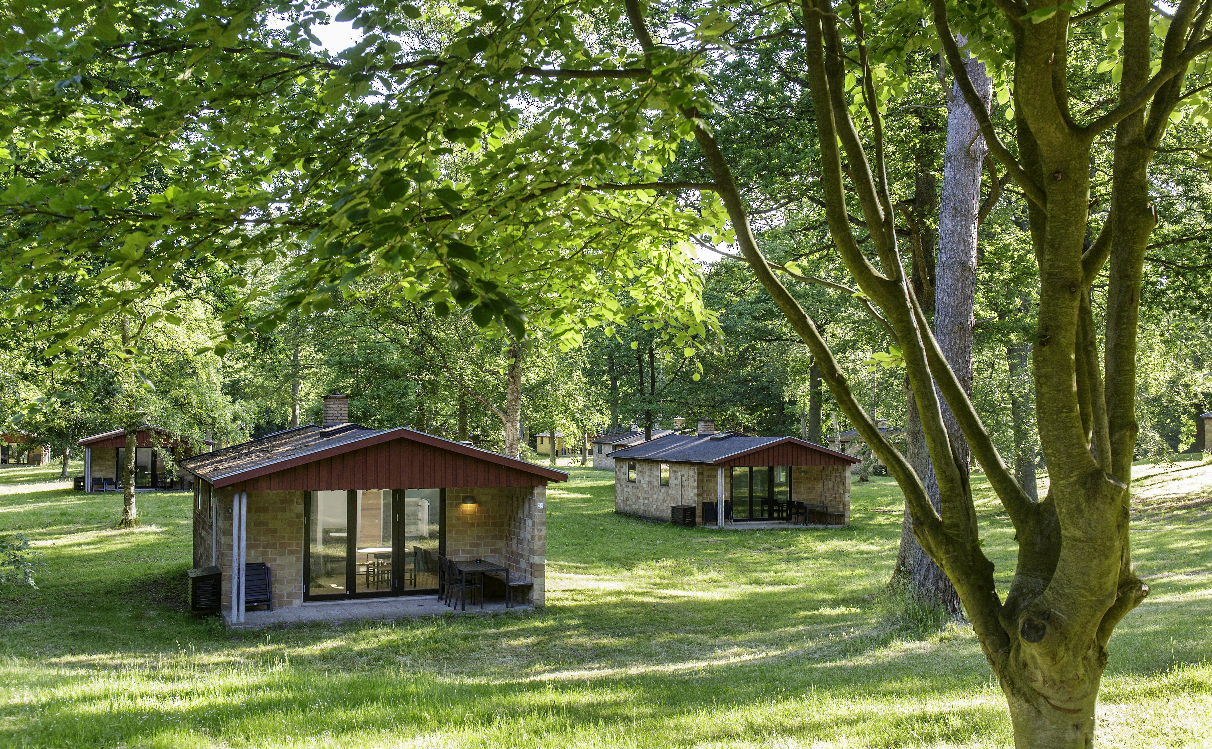 Feriebyens ferieboliger placeret midt i grønt og frodigt område en solskinsdag