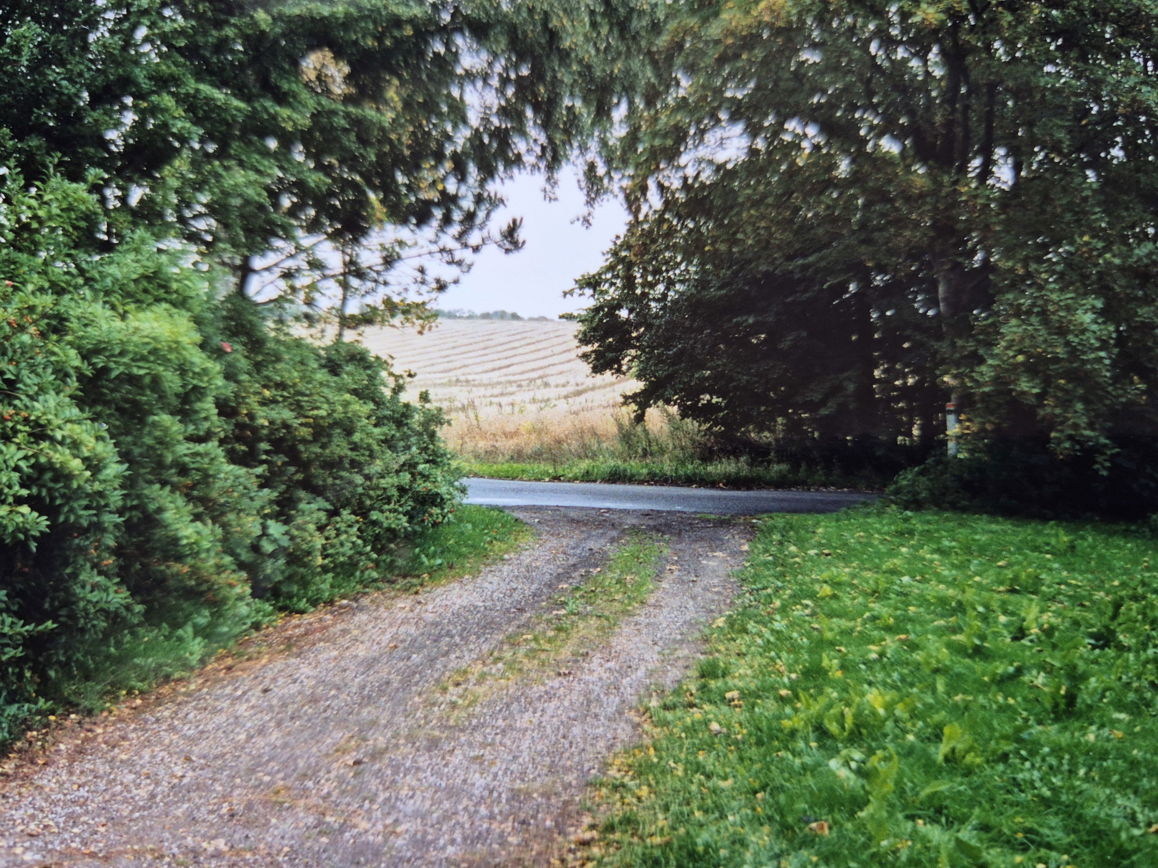 Indkørsel med grusspor fra lukket grøn have ud mod gule marker