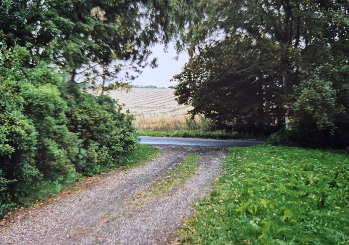 Indkørsel med grusspor fra lukket grøn have ud mod gule marker