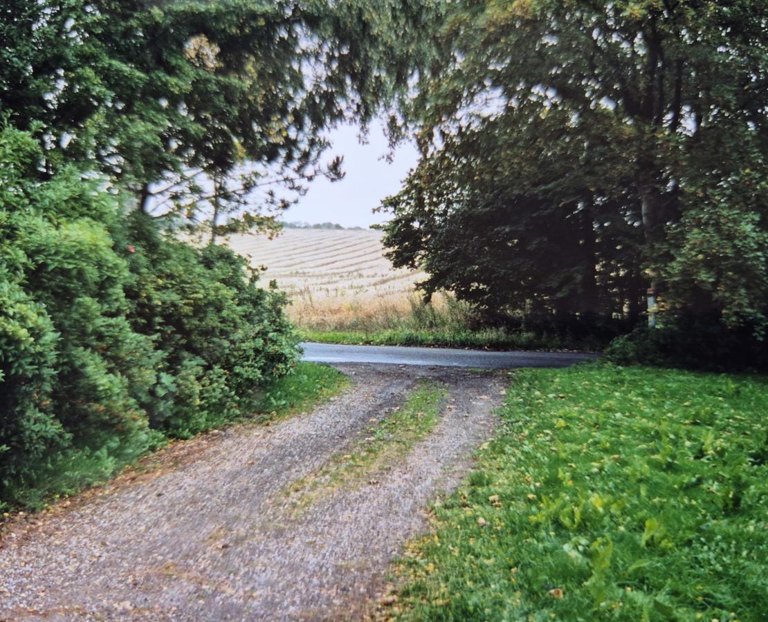 Indkørsel med grusspor fra lukket grøn have ud mod gule marker