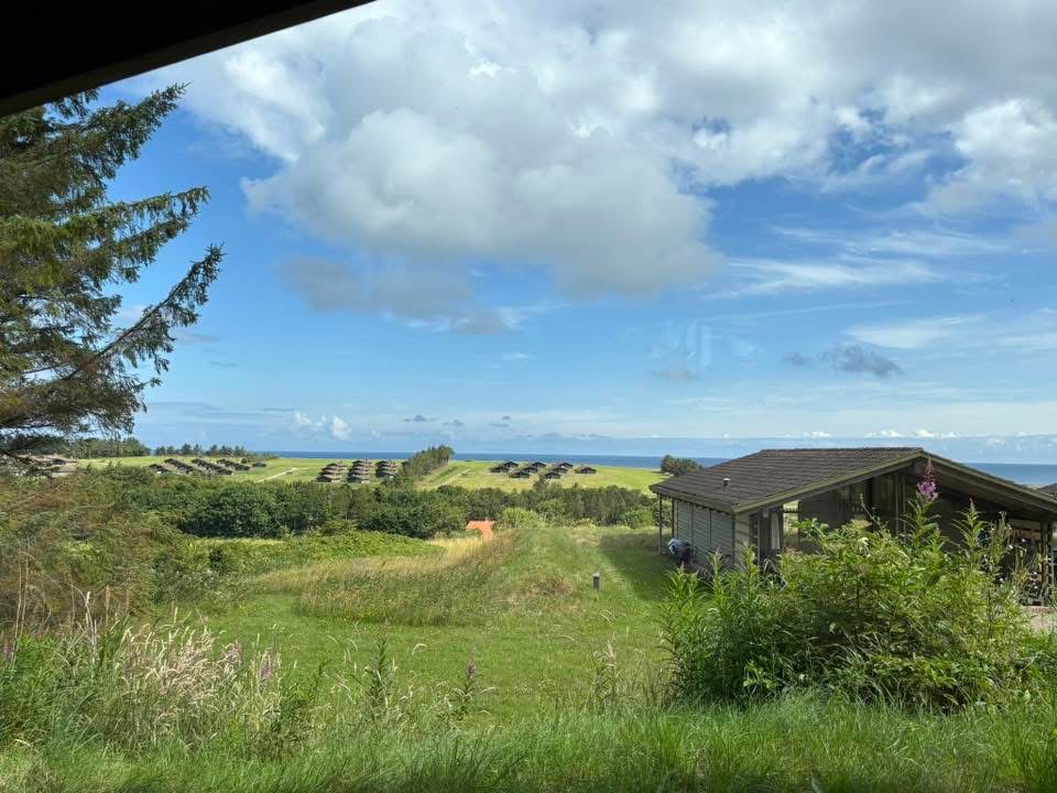 Feriehus på Vigsø midt i grønt område. Blå himmel i baggrund