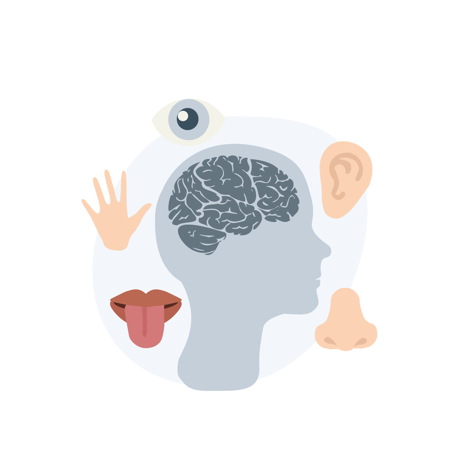 Autisme i form af en hjerne og de fem sanser